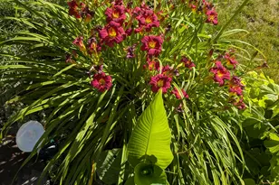 1515 E Gentile St, Layton, UT 84040 - Photo 78