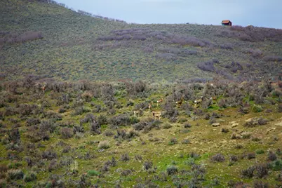 [Address not provided], Peoa, UT 84061 - Photo 2