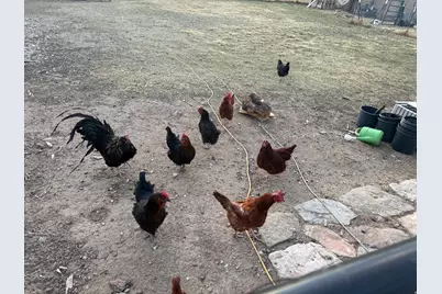 517 S 570 E, Duchesne, UT 84021 - Photo 28