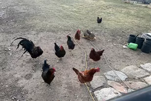 517 S 570 E, Duchesne, UT 84021 - Photo 28