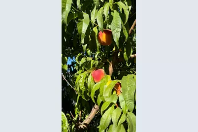 3056 S 1450 W, Perry, UT 84302 - Photo 50