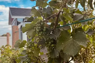 3056 S 1450 W, Perry, UT 84302 - Photo 52