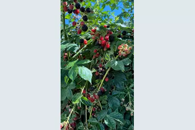 3056 S 1450 W, Perry, UT 84302 - Photo 46