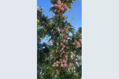 3056 S 1450 W, Perry, UT 84302 - Photo 48