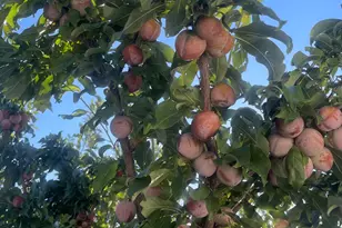 3056 S 1450 W, Perry, UT 84302 - Photo 48