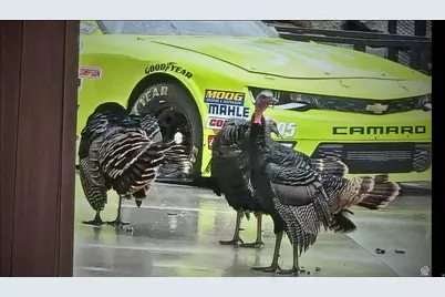 1906 S Preserve Dr #55, Mapleton, UT 84664 - Photo 16