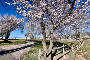 479 E 100 N, Meadow, UT 84644 - Photo 52