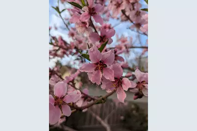 2088 N 450 W, Sunset, UT 84015 - Photo 36