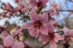 2088 N 450 W, Sunset, UT 84015 - Photo 36