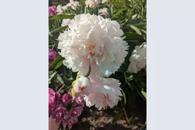 2088 N 450 W, Sunset, UT 84015 - Photo 40