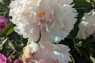 2088 N 450 W, Sunset, UT 84015 - Photo 40