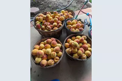 2088 N 450 W, Sunset, UT 84015 - Photo 42