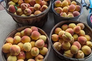 2088 N 450 W, Sunset, UT 84015 - Photo 42