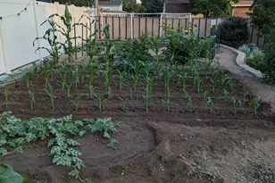 2088 N 450 W, Sunset, UT 84015 - Photo 32