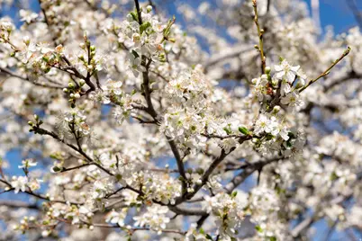 2614 E Providence Ct #1, Holladay, UT 84121 - Photo 14