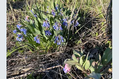 200 Mill Farm Rd, Montpelier, ID 83254 - Photo 30