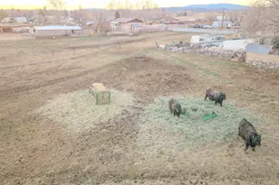 1817 W 9000 N, Neola, UT 84053 - Photo 42
