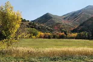 47 S Meadow Dr, Springville, UT 84663 - Photo 38