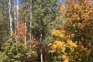 47 S Meadow Dr, Springville, UT 84663 - Photo 36