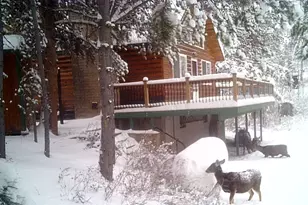 8180 Aspen Loop, Oakley, UT 84055 - Photo 38