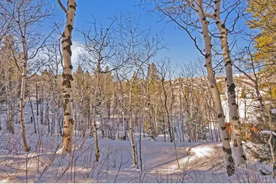 8180 Aspen Loop #51&52, Oakley, UT 84055 - Photo 30