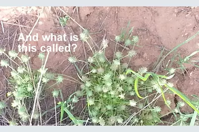 [Address not provided], Cisco, UT 84515 - Photo 10