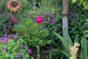 1447 E Edgecliff Dr, Sandy, UT 84092 - Photo 42