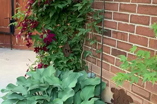 1447 E Edgecliff Dr, Sandy, UT 84092 - Photo 38