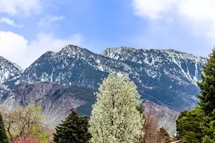 8626 S Scottish Dr, Cottonwood Heights, UT 84093 - Photo 4