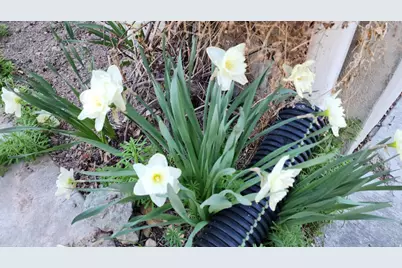 863 Country Dr, Stansbury Park, UT 84074 - Photo 22