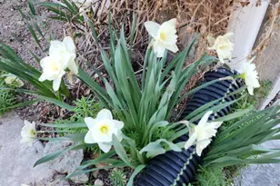 863 Country Club Dr, Stansbury Park, UT 84074 - Photo 22