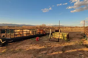 9755 E 4000 N, Lapoint, UT 84039 - Photo 70