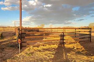 9755 E 4000 N, Lapoint, UT 84039 - Photo 68