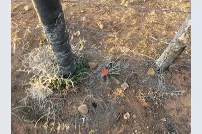 9755 E 4000 N, Lapoint, UT 84039 - Photo 52