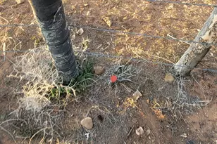 9755 E 4000 N, Lapoint, UT 84039 - Photo 52