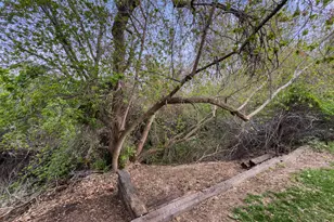 1242 E Snowcreek Dr, Layton, UT 84040 - Photo 42