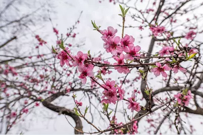 4963 S 2275 W, Roy, UT 84067 - Photo 26