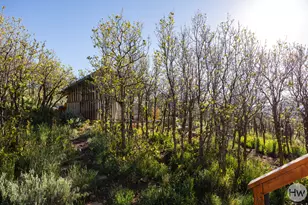 277 E Crestview Dr, Wanship, UT 84017 - Photo 48