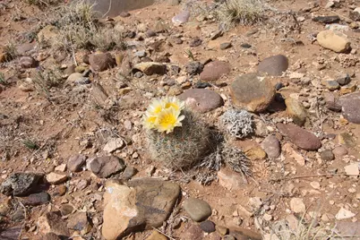 10495 E 7750 N, Lapoint, UT 84039 - Photo 26