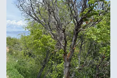 1517 S Mahogany Dr #B18, Garden City, UT 84028 - Photo 1