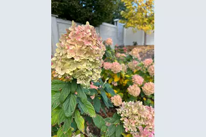 10984 S Lees Dream Dr W #201, South Jordan, UT 84095 - Photo 66