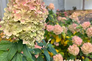 10984 S Lees Dream Dr W, South Jordan, UT 84095 - Photo 66