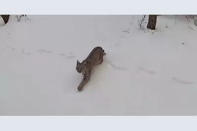 45 Oak Crest Drive, Mount Pleasant, UT 84647 - Photo 48