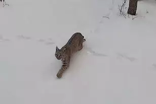 45 Oak Crest Dr, Mount Pleasant, UT 84647 - Photo 48