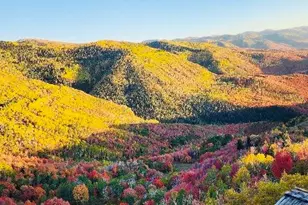 23200 N Hillside Dr E, Fairview, UT 84629 - Photo 22