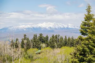 23200 N Hillside Dr E, Fairview, UT 84629 - Photo 30