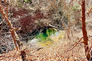 13780 Birch Creek Rd, Fairview, UT 84629 - Photo 34