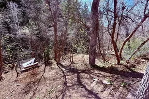 13780 Birch Creek Rd, Fairview, UT 84629 - Photo 38