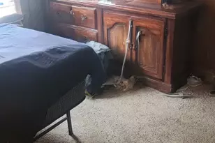 3017 S Heritage Dr, West Valley, UT 84119 - Photo 10