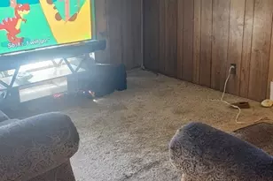 3017 S Heritage Dr, West Valley, UT 84119 - Photo 4